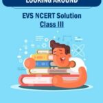CBSE Class 3 EVS Looking Around NCERT Solutions