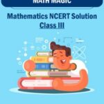 CBSE Class 3 Math Magic NCERT Solutions
