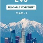 CBSE Class 2 EVS Printable Worksheet