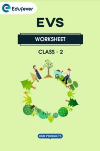 CBSE Class 2 EVS Worksheet in PDF