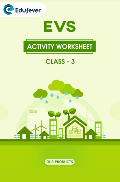 CBSE Class 3 EVS Activity Worksheet