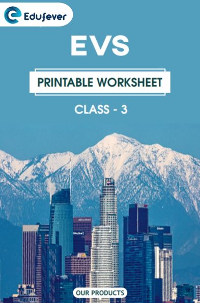 CBSE Class 3 EVS Printable Worksheet