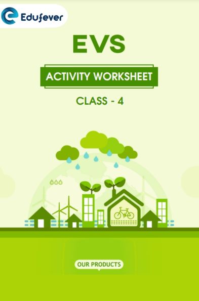 CBSE Class 4 EVS Activity Worksheet