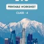CBSE Class 4 EVS Printable Worksheet