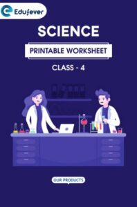 CBSE Class 4 Science Printable Worksheet in PDF