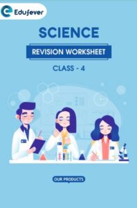 CBSE Class 4 Science Revision Worksheet In PDF