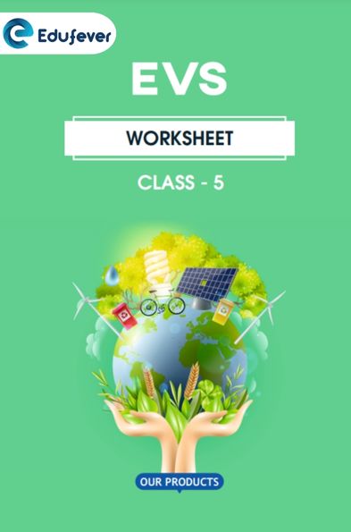 CBSE Class 5 EVS Worksheet
