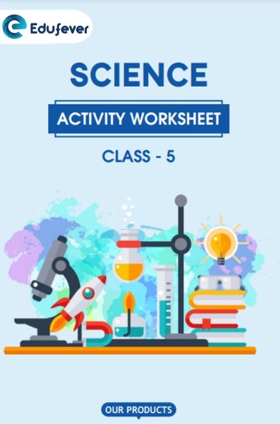 CBSE Class 5 Science Activity Worksheet
