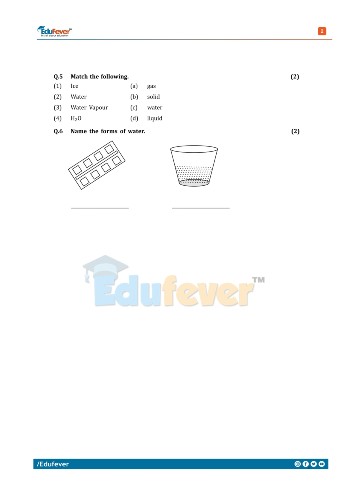 Class 3 Science Activity Worksheet