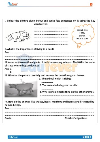 Class 4 EVS Activity Worksheet For