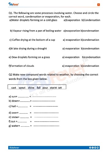 Class 4 Science Activity Worksheet For