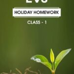 CBSE Class 1 EVS Holiday Homework