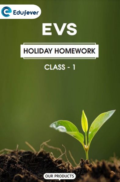 CBSE Class 1 EVS Holiday Homework