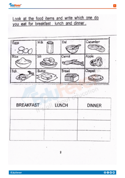 CBSE Class 1 EVS Worksheet In PDF