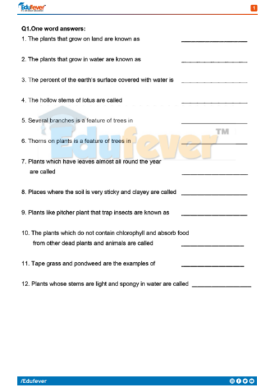 CBSE Class 4 Science Activity Worksheet in PDF