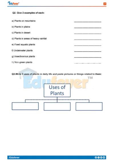 CBSE Class 4 Science Activity Worksheet in PDF