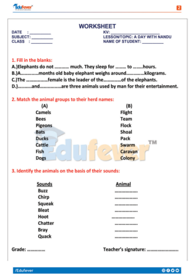 CBSE Class 4 EVS Activity Worksheet