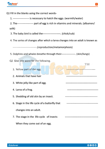 CBSE Class 4 Science Revision Worksheet in PDF