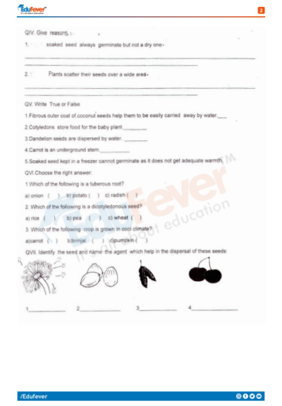CBSE Class 5 Science Printable Worksheet