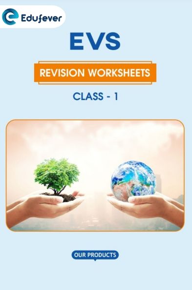 CBSE Class 1 EVS Revision Worksheet