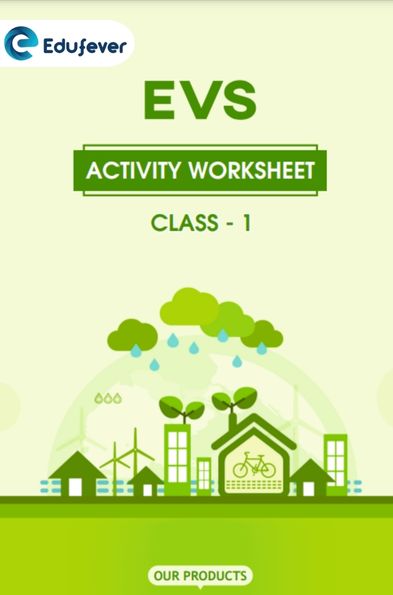 CBSE Class 1 EVS Activity Worksheet