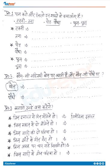 Buy Class 4 Hindi किरमिच की गेंद Worksheet with Solutions Buy Class 4 Hindi किरमिच की गेंद Worksheet with Solutions