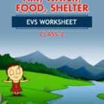 CBSE Class 2 EVS Air Water Food Shelter Worksheet with Solutions