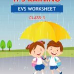 CBSE Class 3 EVS It's Raining Worksheet with Solutions