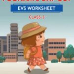 CBSE Class 3 EVS Poonam's Day Out Worksheet with Solutions