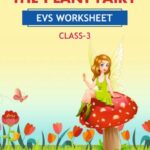 CBSE Class 3 EVS The Plant Fairy Worksheet with Solutions