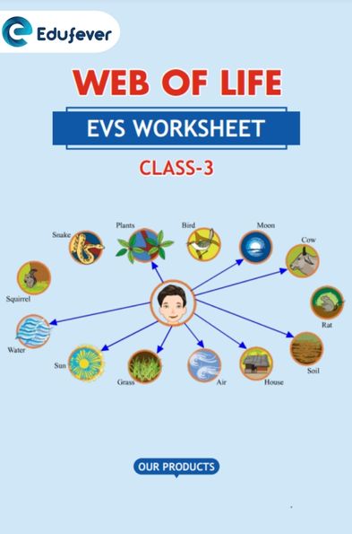 CBSE Class 3 EVS Web Of Life Worksheet with Solutions