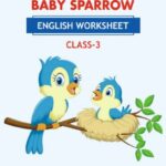 CBSE Class 3 English Nina and The Baby Sparrow Worksheet with Solutions