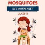 CBSE Class 5 EVS A Treat For Mosquitoes Worksheet with Solutions