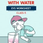 CBSE Class 5 EVS Experiments With Water Worksheet with Solutions
