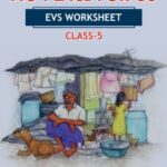 CBSE Class 5 EVS No Place For Us Worksheet with Solutions