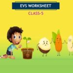 CBSE Class 5 EVS Seeds And Seeds Worksheet with Solutions