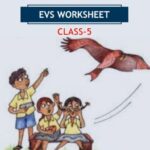 CBSE Class 5 EVS Super Senses Worksheet with Solutions
