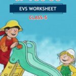 CBSE Class 5 EVS Up You Go Worksheet with Solutions