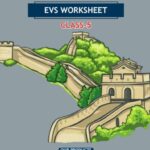 CBSE Class 5 EVS Walls Tell Stories Worksheet with Solutions