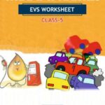 CBSE Class 5 EVS What If It Finishes Worksheet with Solutions