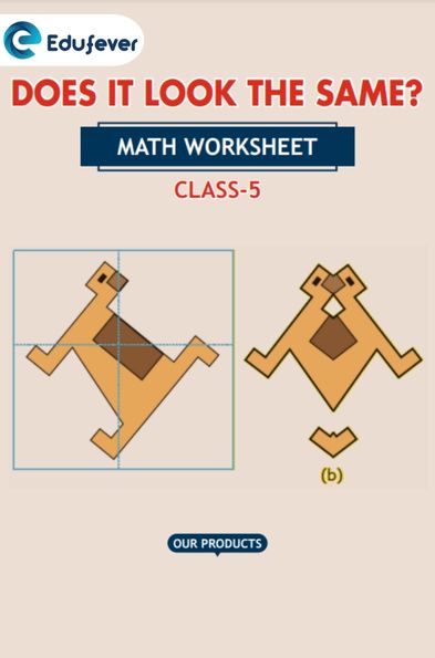 CBSE Class 5 Maths Does It Look the Same Worksheet with Solution