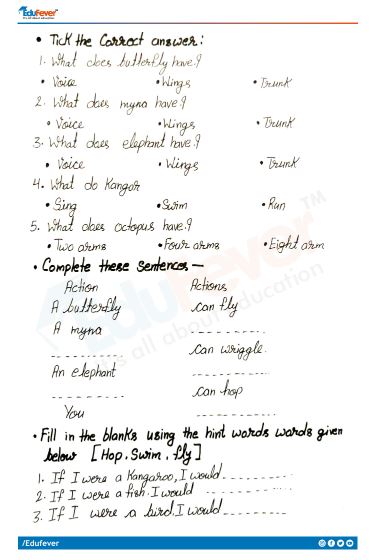 CBSE Class 2 English I Am Lucky Worksheet With Solutions