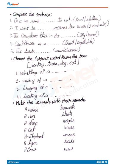 CBSE Class 3 English Puppy and I Worksheet with Solutions