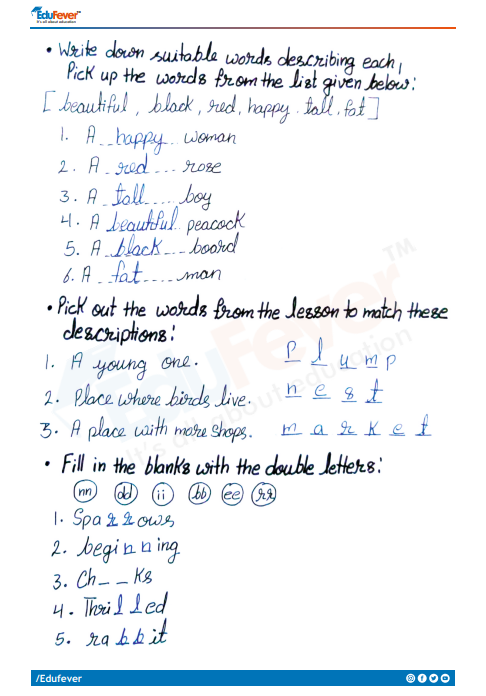 CBSE Class 3 English Nina and The Baby Sparrow Worksheet with Solutions