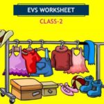 CBSE Class 2 EVS Clothes Worksheet with Solutions