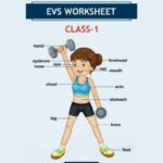 CBSE Class 1 EVS Part Of Body Worksheet with Solutions
