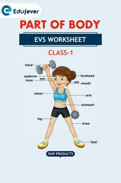 CBSE Class 1 EVS Part Of Body Worksheet with Solutions