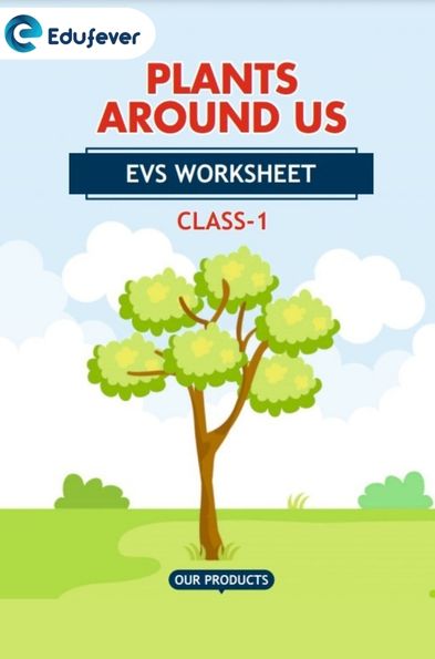 CBSE Class 1 EVS Plant Around Us Worksheet with Solutions