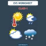 CBSE Class 1 EVS Season Worksheet with Solutions