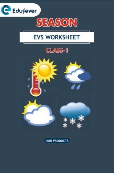 CBSE Class 1 EVS Season Worksheet with Solutions
